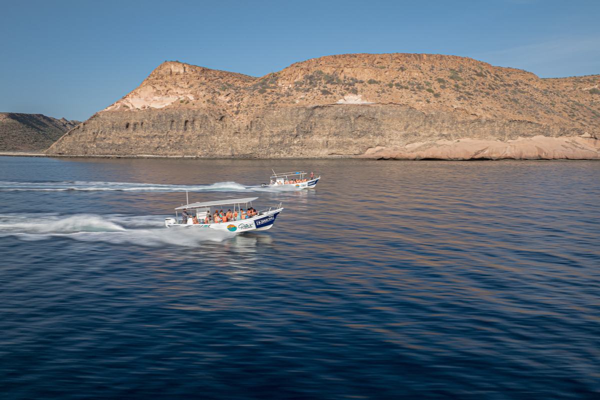 Isla Espíritu Santo — Pita's Tours (7)