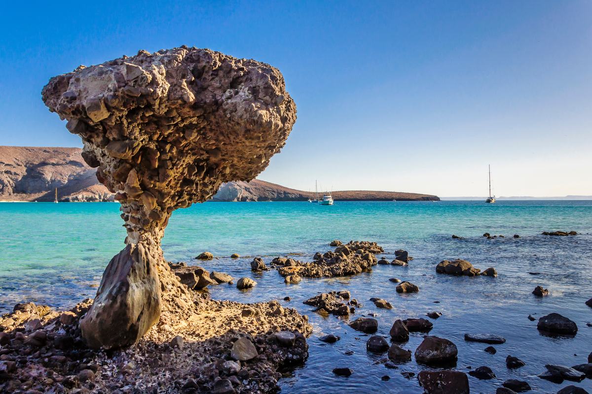 Beach Hopper — Pita's Tours (2)
