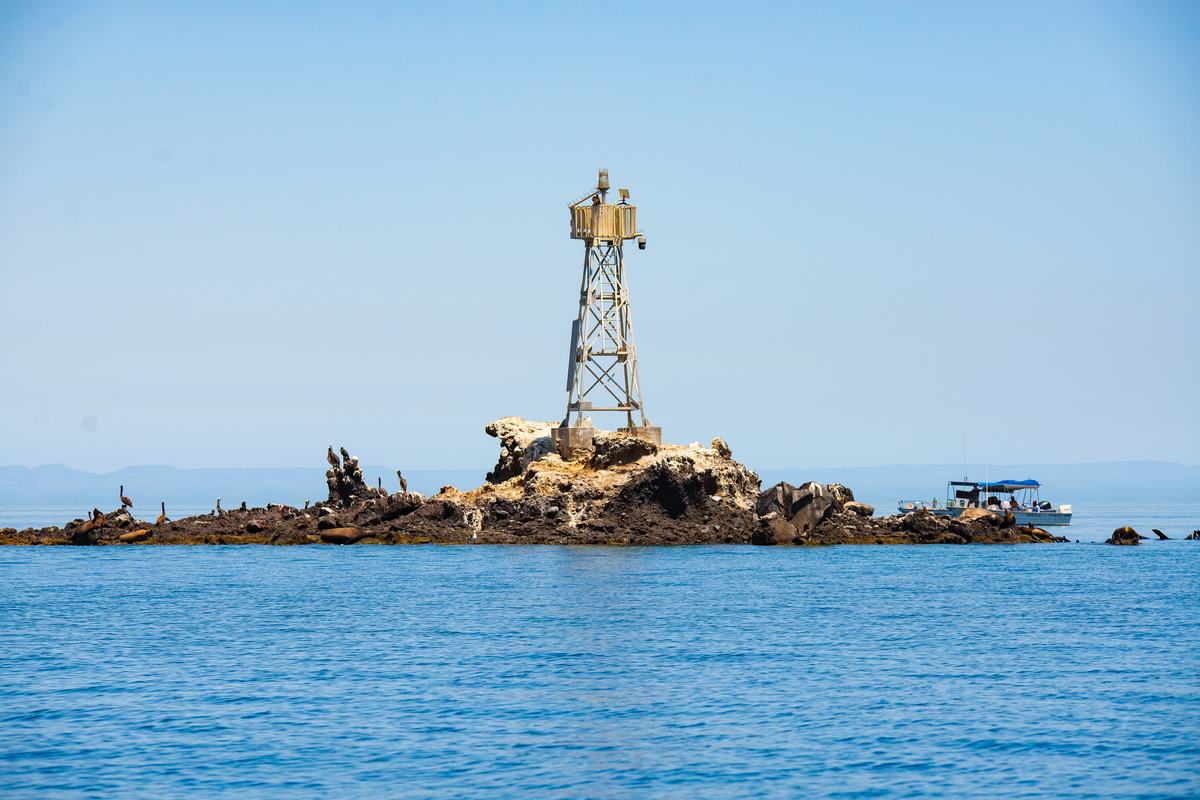 Isla Espíritu Santo — Pita's Tours (5)