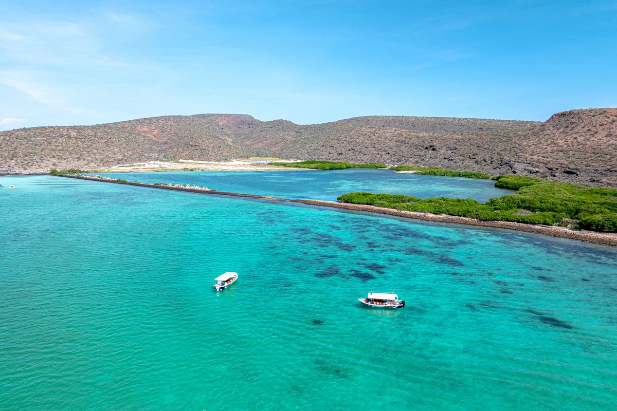 Isla Espíritu Santo — Pita's Tours (8)