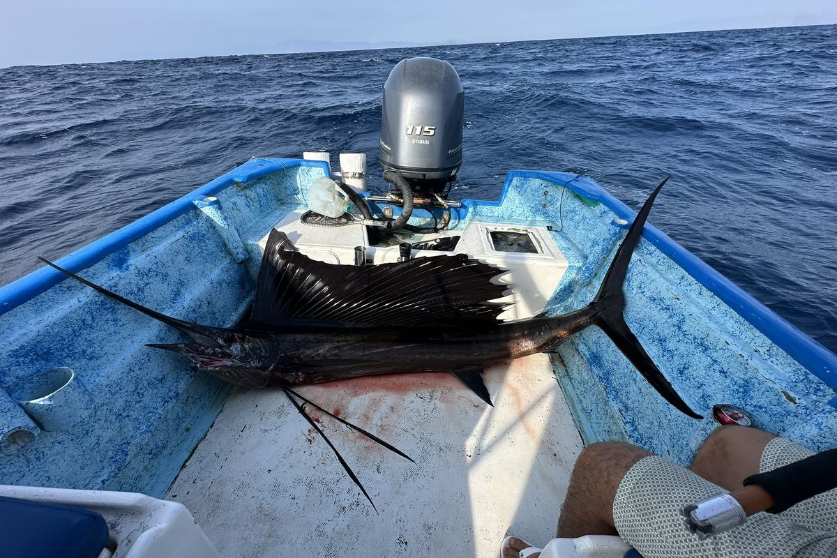 Sport fishing — Pita's Tours