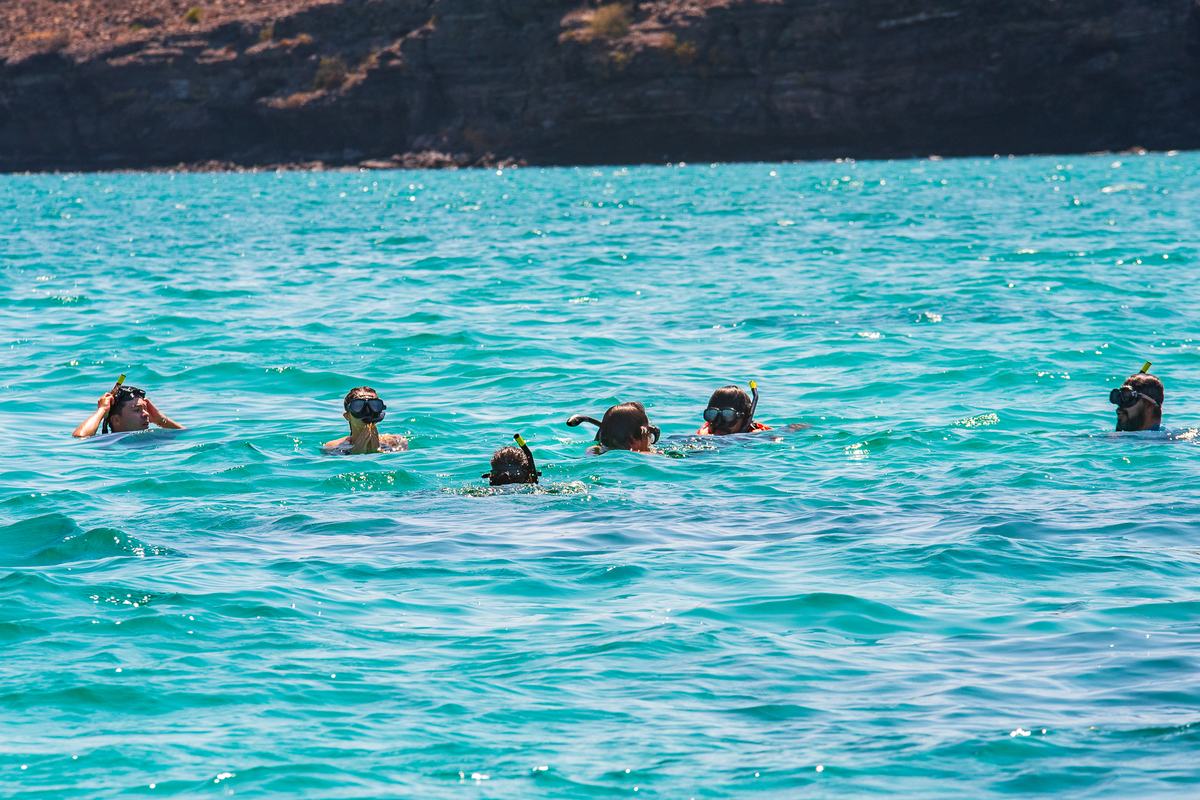 Isla Espíritu Santo — Pita's Tours (6)